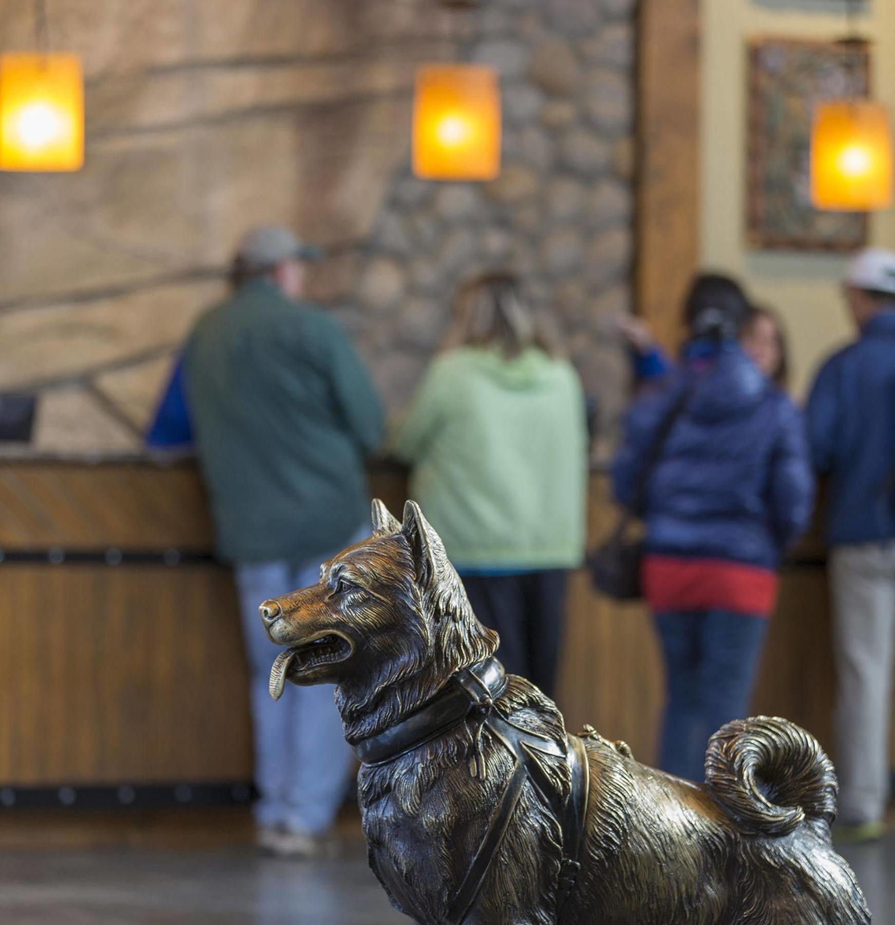 Holland America Denali Lodge Denali Park Luaran gambar